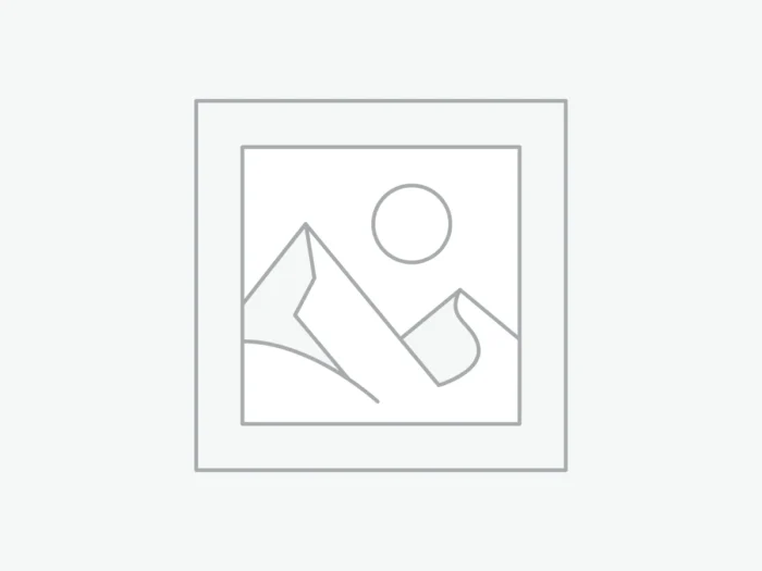 Δείκτης τοποθέτησης